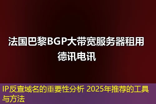 IP反查域名的重要性分析 2025年推薦的工具與方法