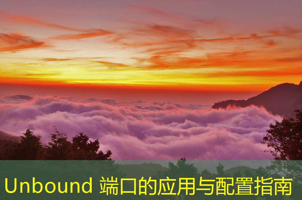 Unbound 端口的應(yīng)用與配置指南