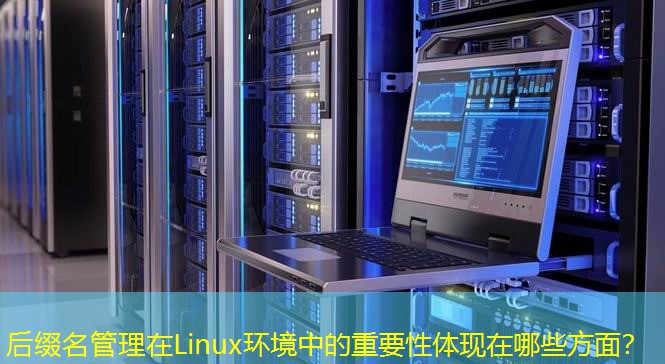 后綴名管理在Linux環(huán)境中的重要性體現(xiàn)在哪些方面？