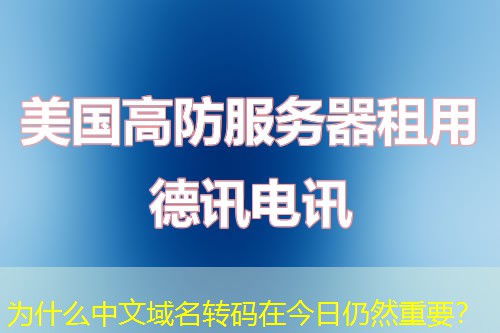 為什么中文域名轉(zhuǎn)碼在今日仍然重要？