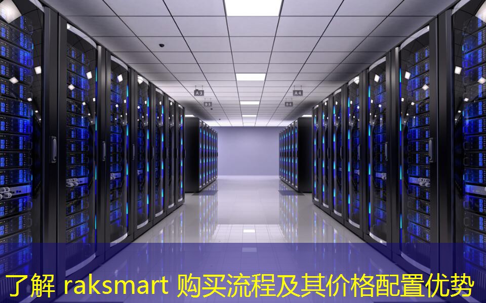 了解 raksmart 購(gòu)買流程及其價(jià)格配置優(yōu)勢(shì)