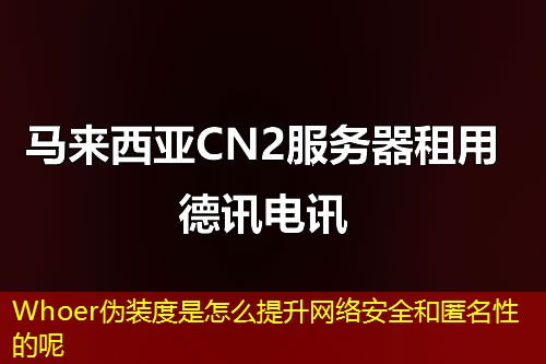 Whoer偽裝度是怎么提升網(wǎng)絡(luò)安全和匿名性的呢