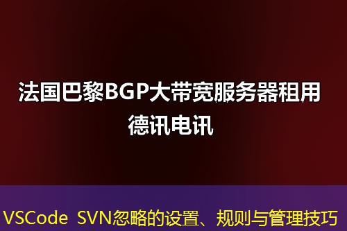 VSCode SVN忽略的設(shè)置、規(guī)則與管理技巧