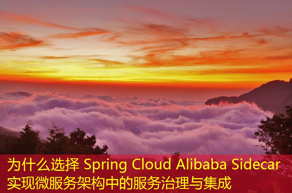 為什么選擇 Spring Cloud Alibaba Sidecar 實(shí)現(xiàn)微服務(wù)架構(gòu)中的服務(wù)治理與集成